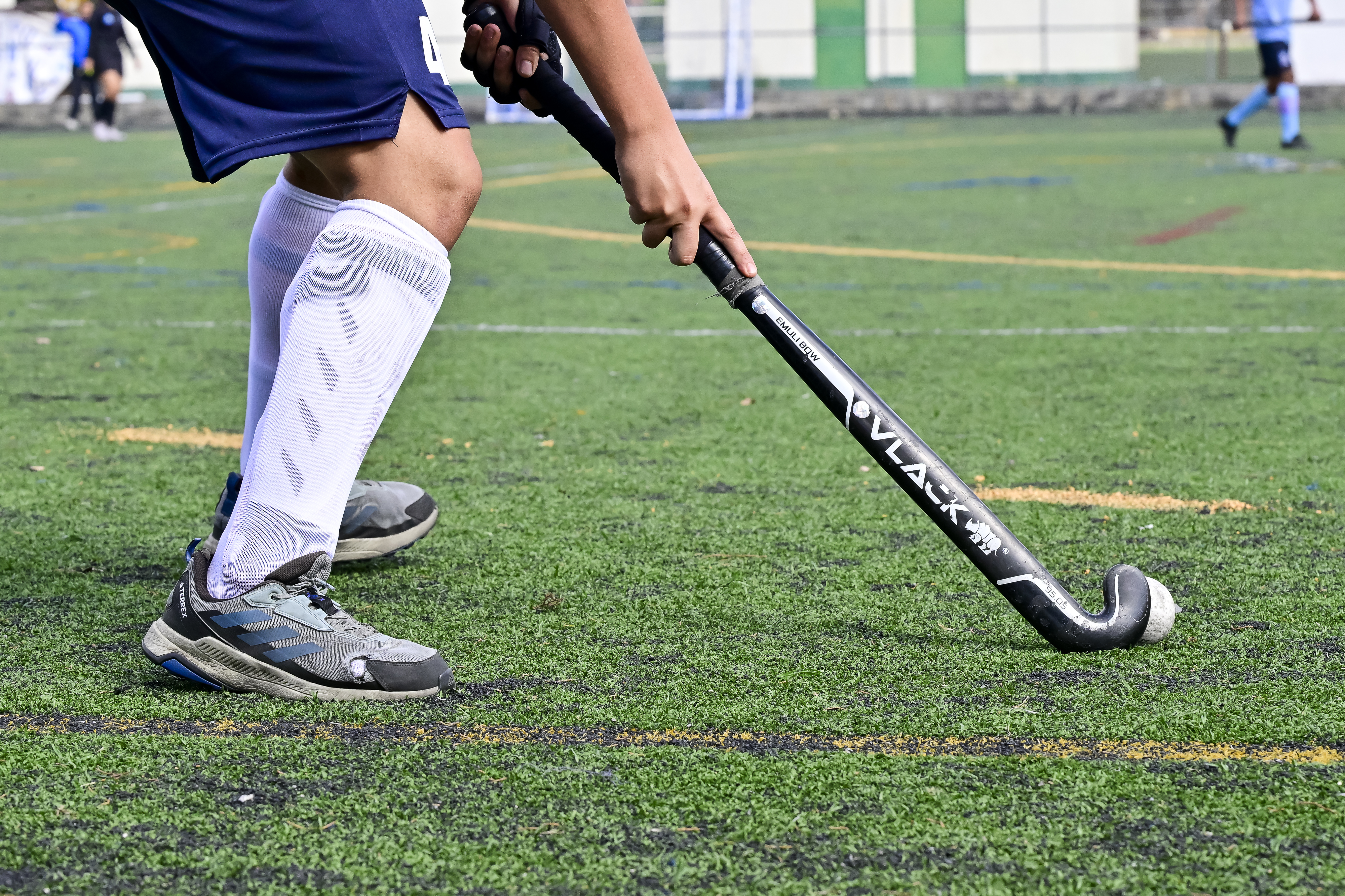 Hockey Liga Mayor