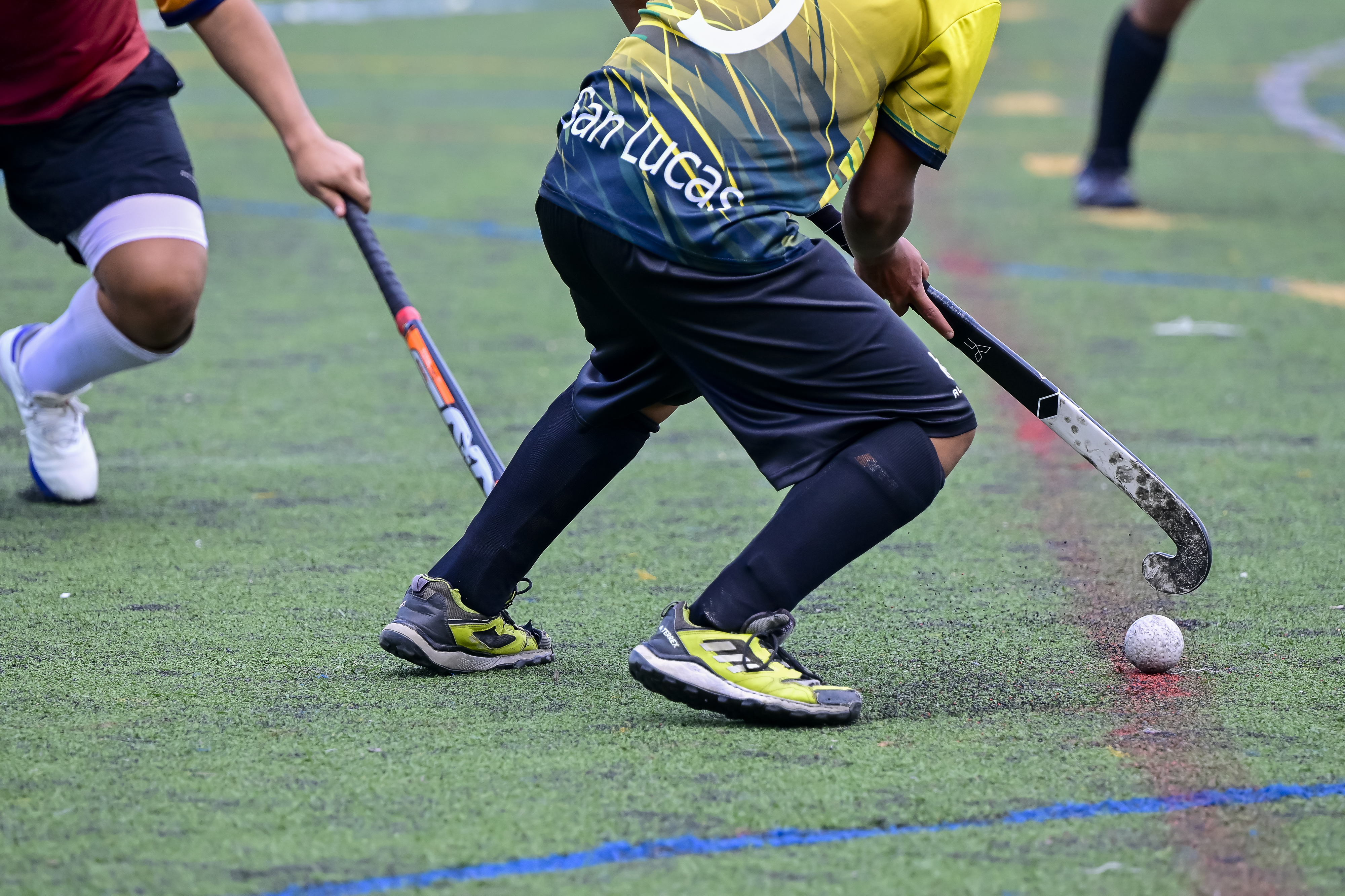 Hockey Liga Mayor
